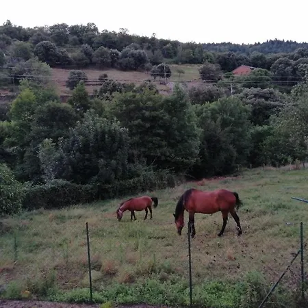 Le Mazet De La Regordane Saint-Andre-Capceze