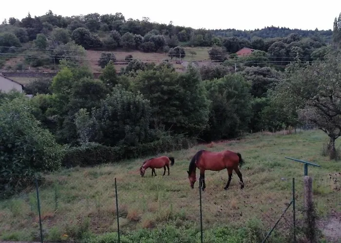 Le Mazet De La Regordane Saint-Andre-Capceze