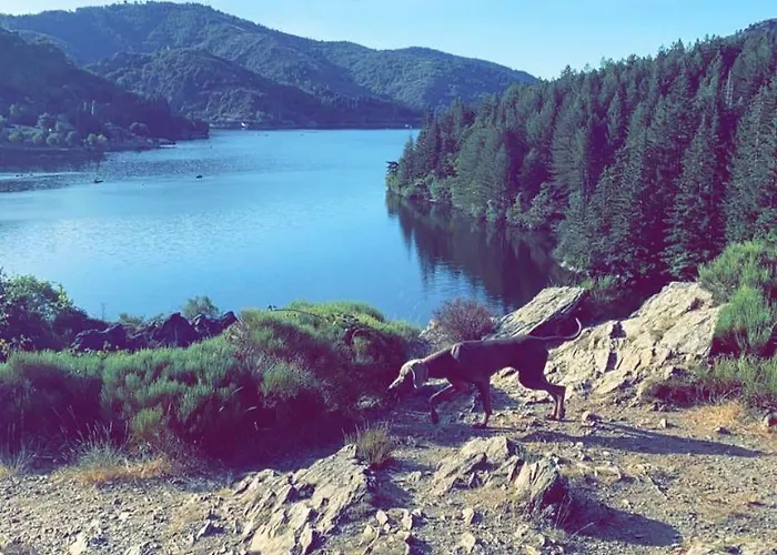 Le Mazet De La Regordane Ferienhaus